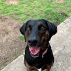 Meet your Posher, Lily